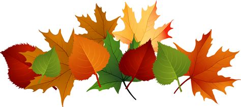 fall leaves png transparent   fall leaves png transparent png images