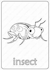 Coloring Insect Printable Book Pdf Whatsapp Tweet Email sketch template