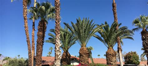 vrbo shadow mountain resort palm desert vacation rentals