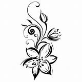 Fleur Lys Tatouage Arabesque Decoratif Inspirant sketch template