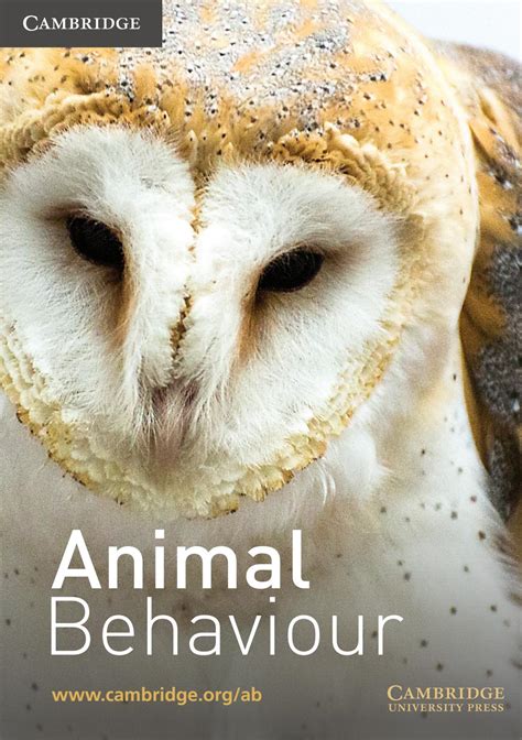 animal behaviour  books catalogue  cambridge university press issuu