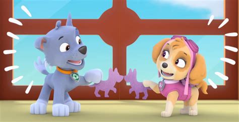 rocky x skye paw patrol relation ship wiki fandom