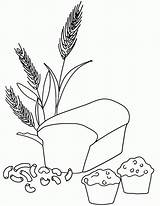 Coloring Wheat Bread Pages Grain Whole Color Pasta Printable Grains Colouring Clipart Muffin Kids Macaroni Food Colour Sheets Worksheets Harvest sketch template