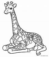 Giraffe Malvorlagen Ausmalbilder Drucken Ausdrucken sketch template