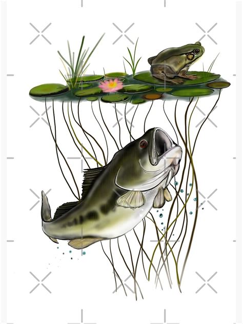 Largemouth Bass Illustration Digital Drawing By Antartoutdoors