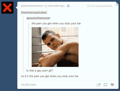 Funny Ha Ha Tumblr Proves Gay Porn S Are Applicable For Every