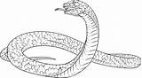 Burmese Snakes Paintingvalley sketch template