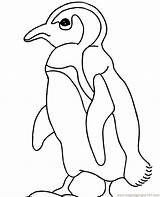 Penguin Template Pages Coloring Baby Cute Printable Craft Templates Penguins Getcoloringpages Animal Penquin Dot Emperor sketch template