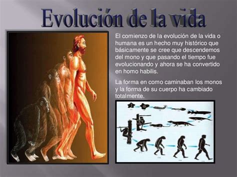 Origen Y Evolucion De La Vida