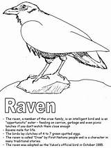 Raven Coloring Pages Colouring Canadian Ravens Poe Sheet Bird Edgar Provinces Canada Printable Allen Territories Activities Ws Kidzone Kids Helmet sketch template