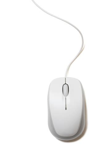 mouse stock photo  pictures  blank istock