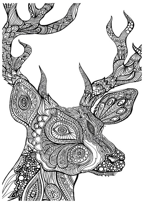 complex coloring pages  animals coloring home