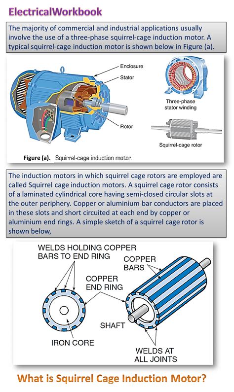 squirrel cage induction motor wiring diagram circuit diagram