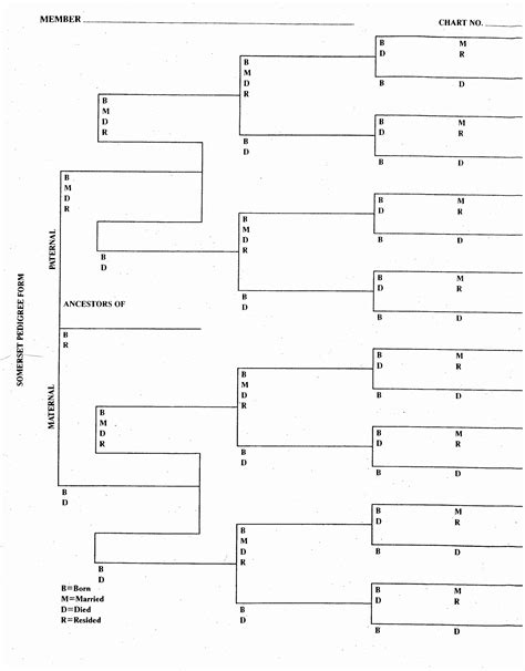 printable family tree charts  forms  printable templates