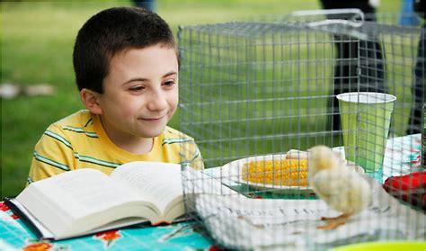 Peculiar On And Off Set Atticus Shaffer Of ‘the Middle’ The New York