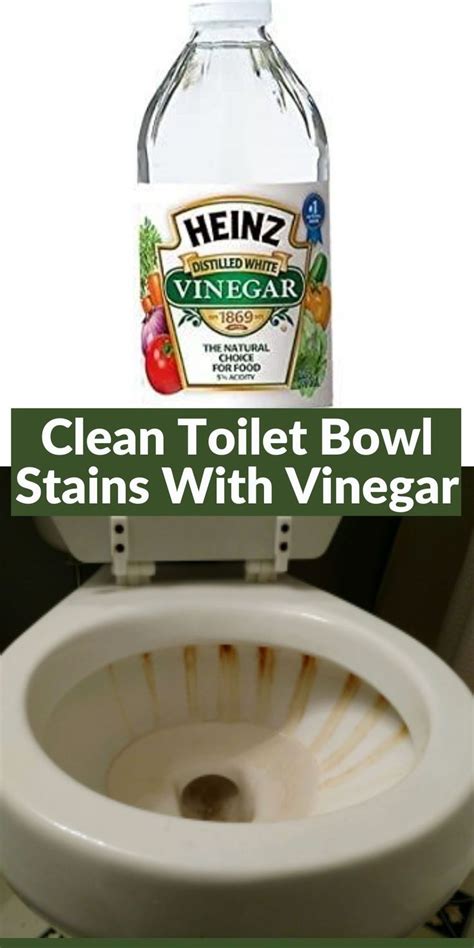 clean toilet bowl stains  vinegar   toilet bowl stains