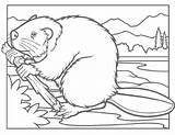 Dam Coloring Pages Getdrawings sketch template