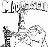 Madagascar Colorir Desenhos sketch template