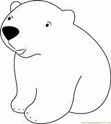 Bear Polar Pages Baby Coloring Template Coloringpages101 Cartoon sketch template