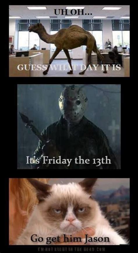 It S Friday The 13th Haha Funny Funny Cat Memes