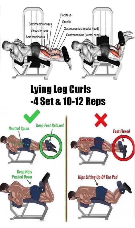 leg curls hamstring workout leg workout leg curl