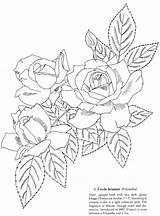 Coloring Roses Book Dover Publications Favorite Cleverpedia Books Floribunda Grandiflora 1989 Climbers Definite Theme Still Print Has sketch template