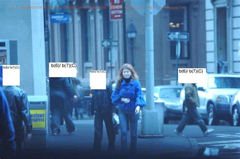 Fbi Records The Vault — Anna Chapman Photo 1