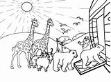 Ark Noah Coloring Pages Noahs Drawing Printable Kids Sheets Bible Sunday Print School Marley Bob His Family Cartoon Creation Pluspng sketch template