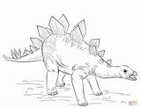 Coloring Pages Stegosaurus Dinosaur Young Drawing Color Dinosaurs Printable sketch template