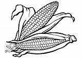Corn Coloring sketch template