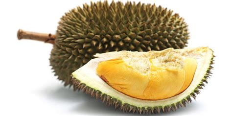 durian inhaltsstoffe wirkung und anwendung heilpraxis