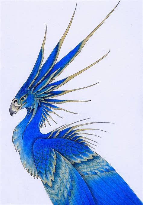 great tropical bird mythical birds mythical creatures mythical