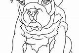 Coloring Pages Bulldog Towel Fat sketch template