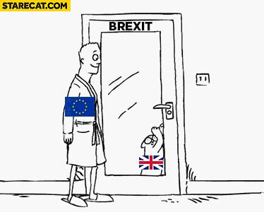 uk brexit cat wanting     longer      door  open gif animation simon