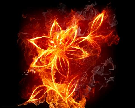 66 Best Images About Fire Art And Fire Pictures On Pinterest Indian