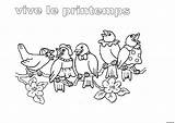 Printemps Coloriage Maternelle Oiseaux Oiseau Colorier Imprimé Inscrivez sketch template
