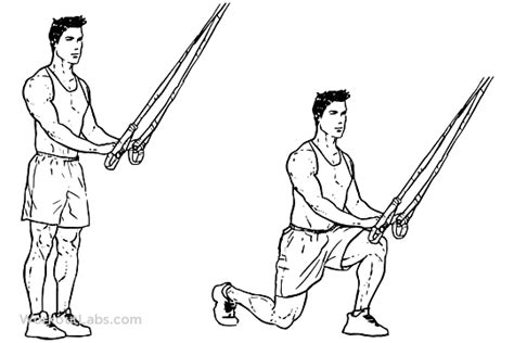 trx reverse lunges lunges workoutlabs exercise guide