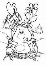 Weihnachts Ausmalbild Rentier Raskrasil Tannenbaum Engels Nikolaus Vieles Kostenlosen Christbaumkugeln sketch template