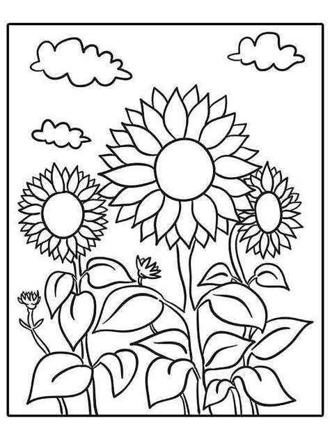 coloring pages sunflower coloring pages flower coloring pages