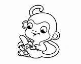 Banana Monkey Coloring Baby Colorear Pages Coloringcrew Jungle sketch template