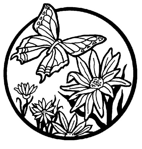 coloring pages  butterflies  images coloring design