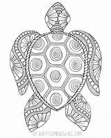 Coloring Turtle Sea Gorgeous Pages Adult sketch template