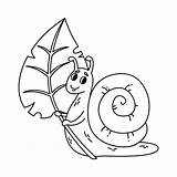 Snail Insects Slugs Caracol 30seconds Ilustraciones Ilustración Vecteezy Vectorial Sosteniendo Iconos Aislada Animados sketch template