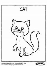 Cat Coloring Worksheet Kidloland sketch template