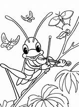 Heuschrecke Sprinkhaan Grasshopper Sprinkhanen Heuschrecken Malvorlage Kleurplaat Coloring sketch template