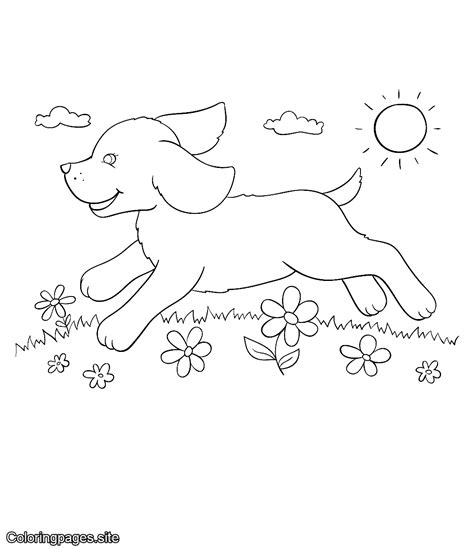 original high quality  coloring pages  kids