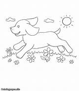 Coloring Outside Pages Playing Puppies Dogs Online Site Puppy Quality Kids High Printable sketch template