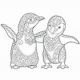 Puffin Coloring Pages Getcolorings Printable sketch template