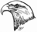 Colorat Vultur Desene Vulturi Eagles Vulturul Planse Salbatice Pasari Desenati Imaginea sketch template