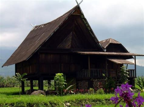 rumah adat sumatera selatan gambar penjelasan lezgetreal